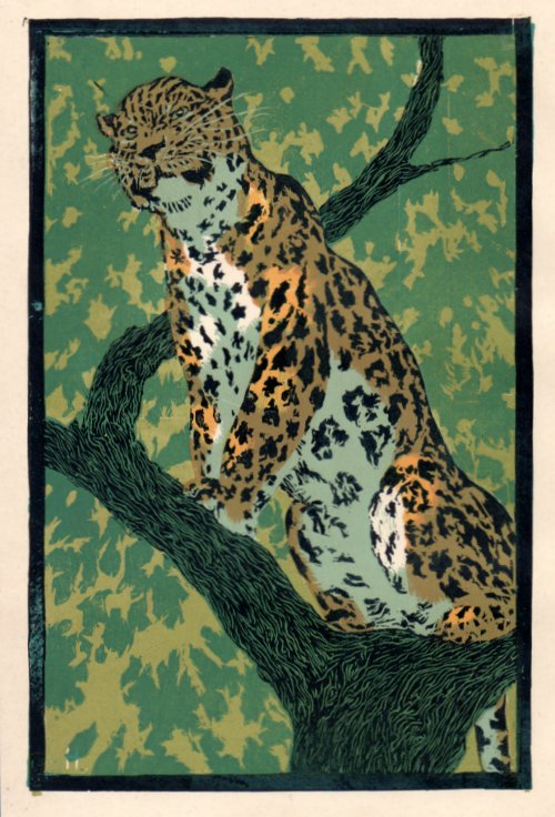 Arnot Hofbauer: Chajc Leopard (Der wartende Leopard) (Farbholzschnitt)
