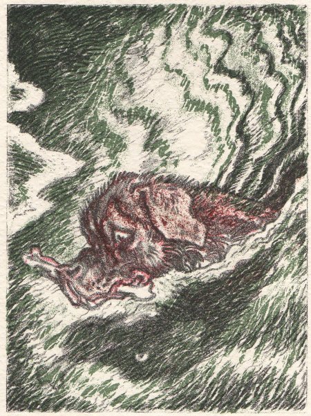 Ludwig Heinrich Jungnickel: 4 Tierlithografien: Schwimmender Hund