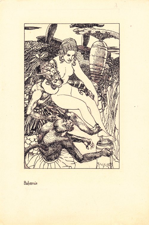 Tichy, Gyula: Baboonia (Zeichnung)