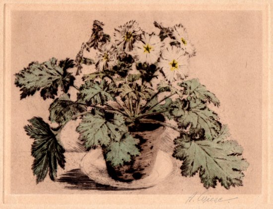 Albert Wiese: Blumentopf (Kolorierte Radierung)